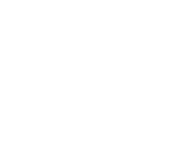 scroll-down-animate